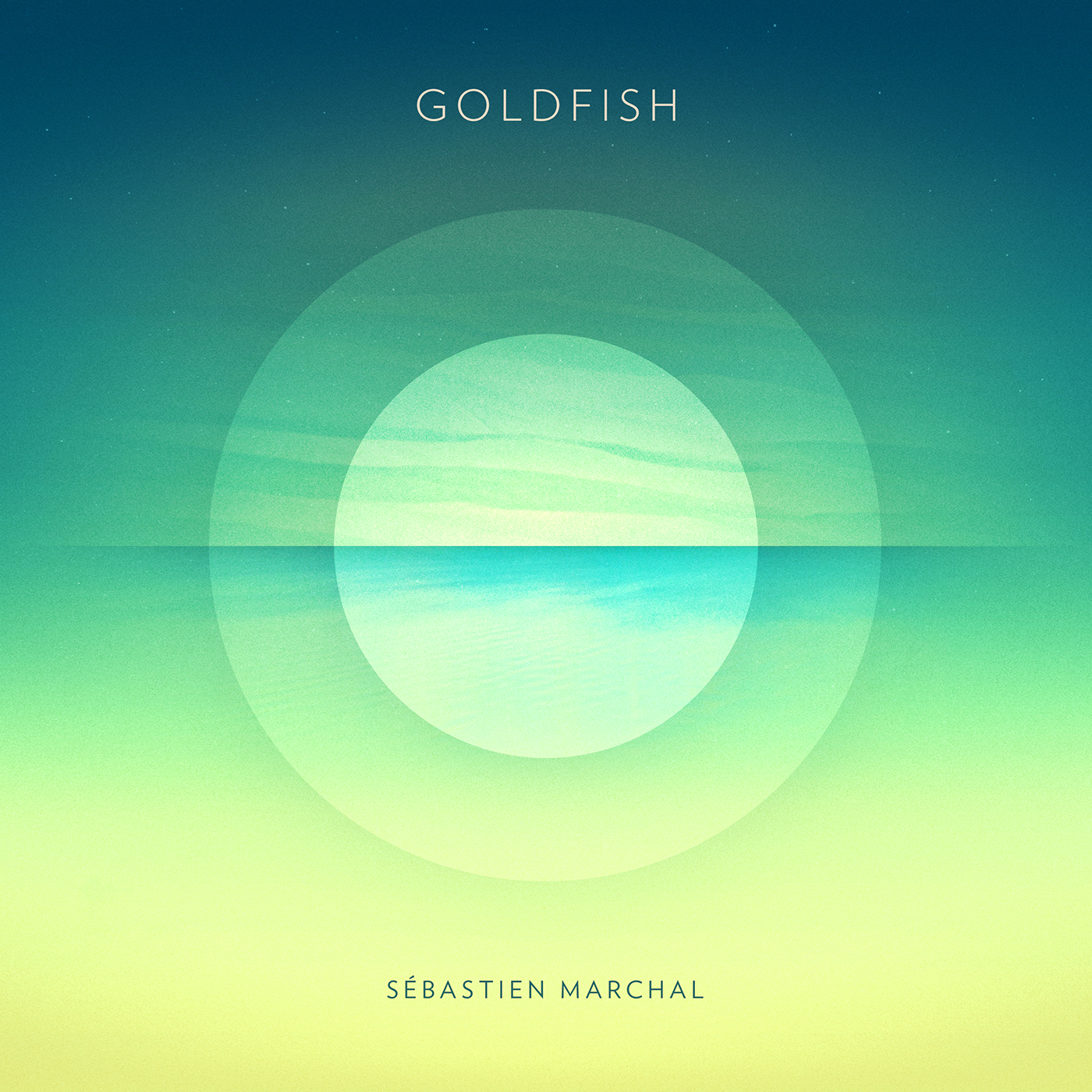 Sebastien Marchal – Goldfish