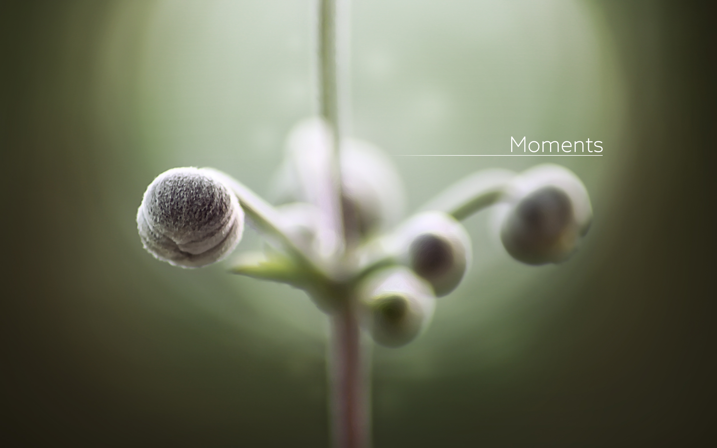 Planet Boelex – Moments